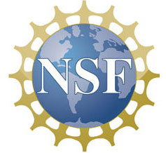 NSF logo